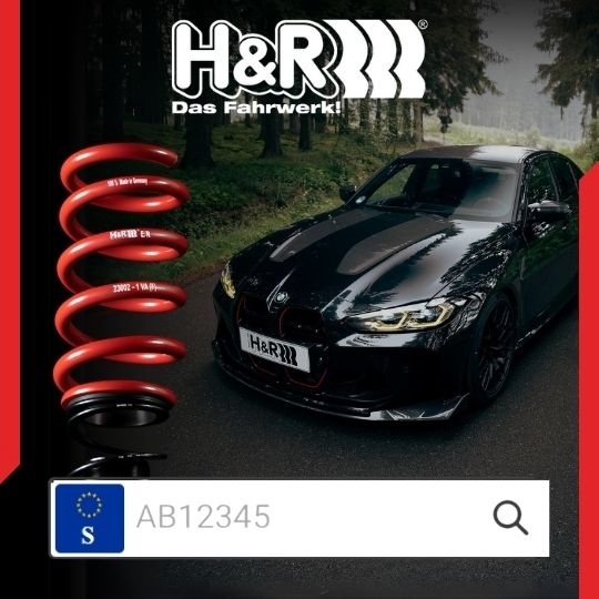 H&R coilovers